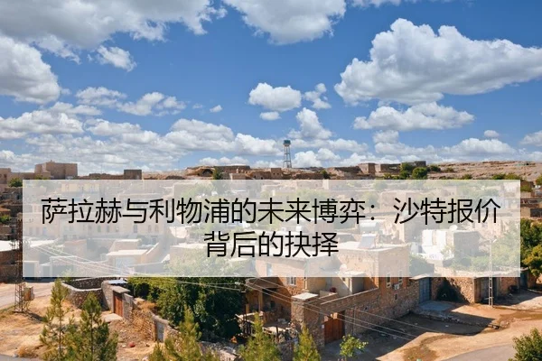 sa-la-he-yu-li-wu-pu-de-wei-lai-bo-yi-sha-te-bao-jia-bei-hou-de-jue-ze-2-851.jpg